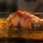 découvrez comment mijoter un jarret de porc au four en cuisson lente avec un bouillon aromatisé pour un plat tendre et savoureux.