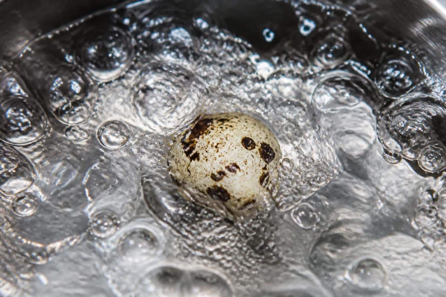découvrez comment l'eau bouillante permet de maîtriser précisément le temps de cuisson des œufs de caille durs pour un résultat parfait à chaque fois.